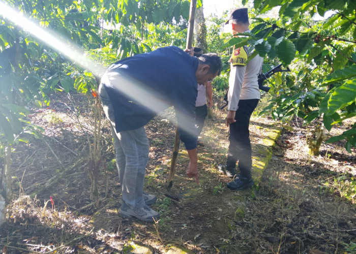 Warga Rejang Lebong Terluka Diserang Beruang 