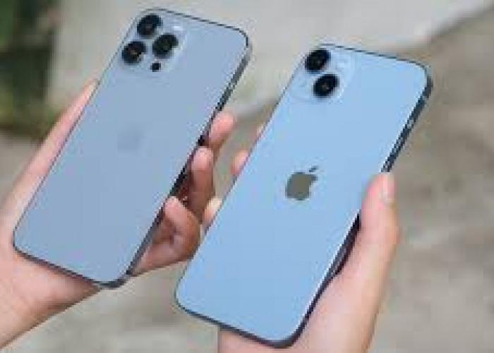 Mana yang Lebih Menarik? Ini Perbandingan iPhone 13 Pro vs iPhone 14 Plus