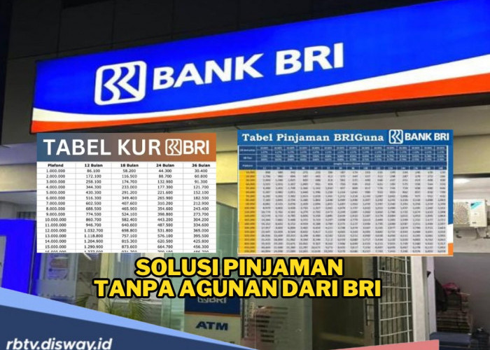 Butuh Dana Cepat Tanpa Ribet? Coba Ajukan Pinjaman Tanpa Agunan dari BRI, Aman dan Menguntungkan