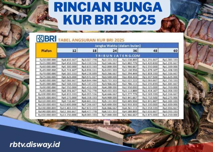 Perhatikan, Ini Rincian Bunga KUR BRI 2025, Cicilan Per Bulan Ringan