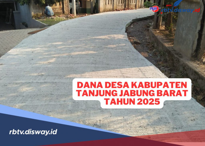 Rincian Dana Desa Kabupaten Tanjung Jabung Barat Tahun 2025, Cek Pembiayaannya untuk 114 Desa