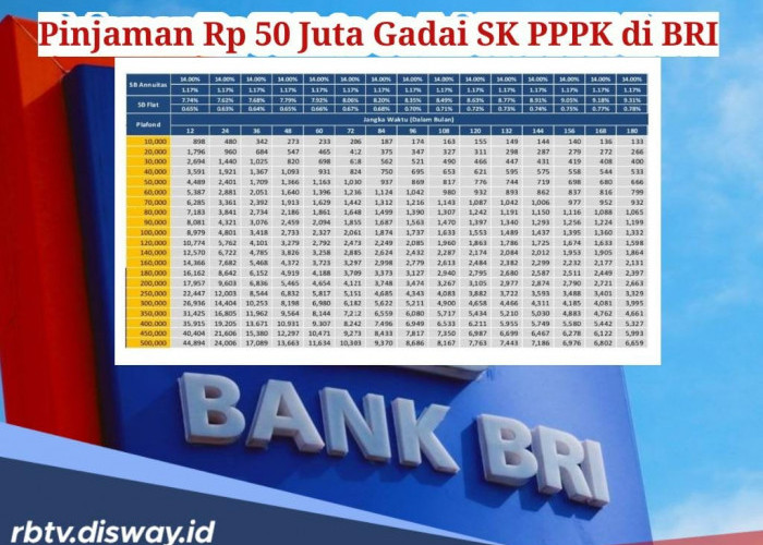 Bunga Gadai SK PPPK di BRI dan Tabel Angsuran Bulanan Pinjaman Rp50 Juta Tenor 12-36 Bulan