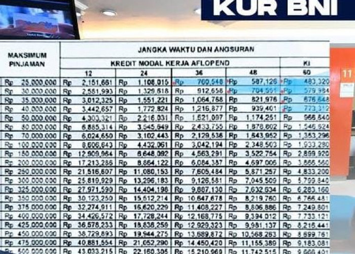 Simulasi Cicilan KUR BNI 2024 Pinjaman Rp30 Juta, Proses 3 Hari Langsung Cair