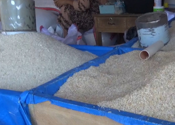 Pedagang Beras Diminta Patuhi Aturan, Badan Pangan Nasional Tetapkan HET Beras di Bengkulu Utara