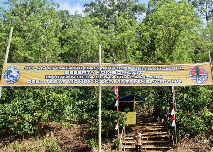 Pesona Alam Lestari Bukit Jupi, Destinasi Wisata Perhutanan Desa Pertama di Kepahiang