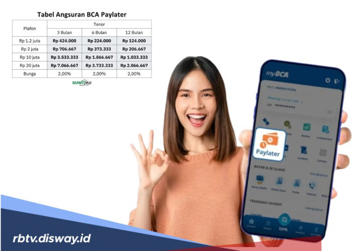 Pinjaman Online Mudah, Ini Simulasi Tabel Angsuran Paylater BCA Rp 10-20 Juta, Cek Syaratnya