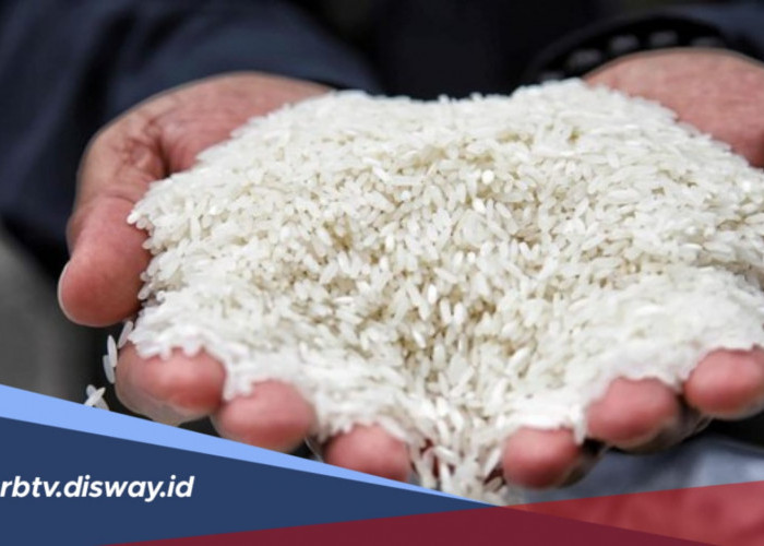 Lagi Ramai Diperbincangkan, Apa Itu Beras Fortifikasi? Ini Penjelasannya