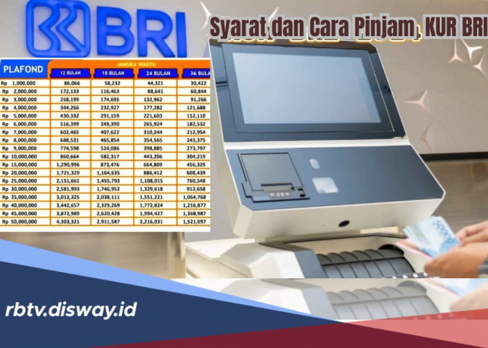 Syarat Terbaru Pinjaman KUR BRI 2024, Pinjam Rp15 Juta Cicilan Per Bulan Cuma Segini