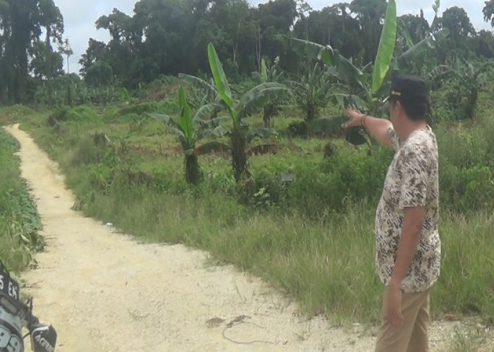 Enggano Usulkan Jalan Pembelah Pulau ke Gubernur Rohidin untuk Dijadikan Jalan Penghubung di 6 Desa