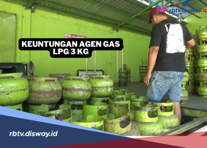 Segini Rupanya Keuntungan Pangkalan Gas LPG 3 Kg, Berminat Jadi Agen?