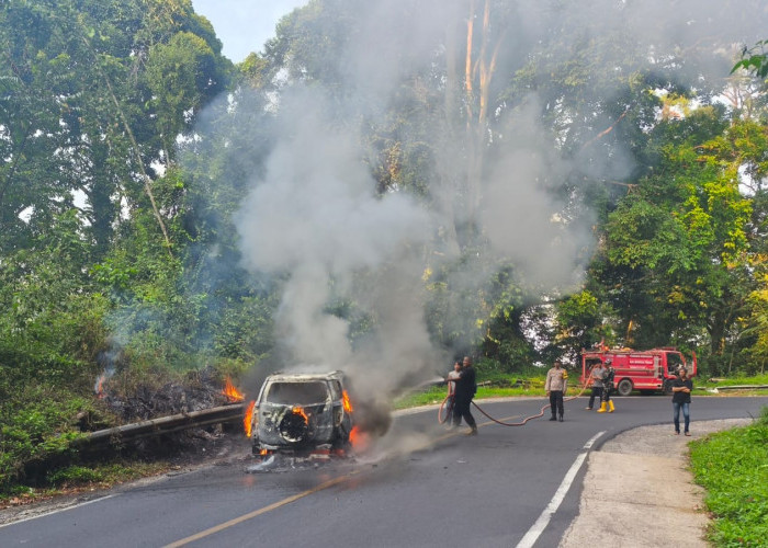 Daihatsu Terrios Milik Pensiunan ASN Terbakar di Liku Sembilan, Begini Kondisi Sopirnya