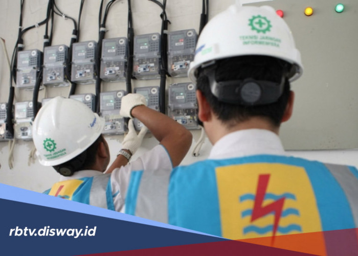 Gaji Pegawai PT PLN Berdasarkan Posisi dan Grade