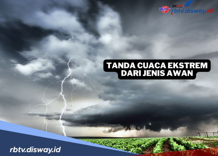 Tanda-tanda Cuaca Ekstrem dari Jenis Awan, Penting Diketahui!