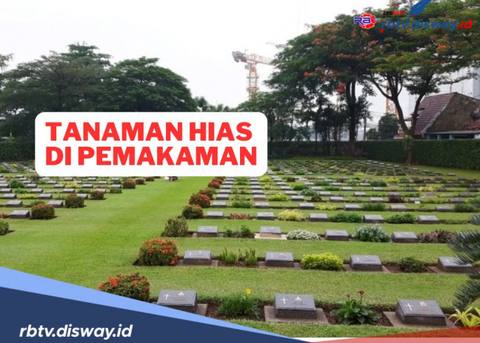 10 Tanaman Hias di Pemakaman Ini Ternyata Memiliki Makna dan Simbol dari Kacamata Budaya