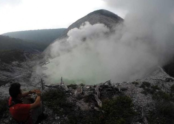 Misteri Gunung Patah Bengkulu-Sumsel, Ada Pohon Panjang Umur dan Suku Unik?