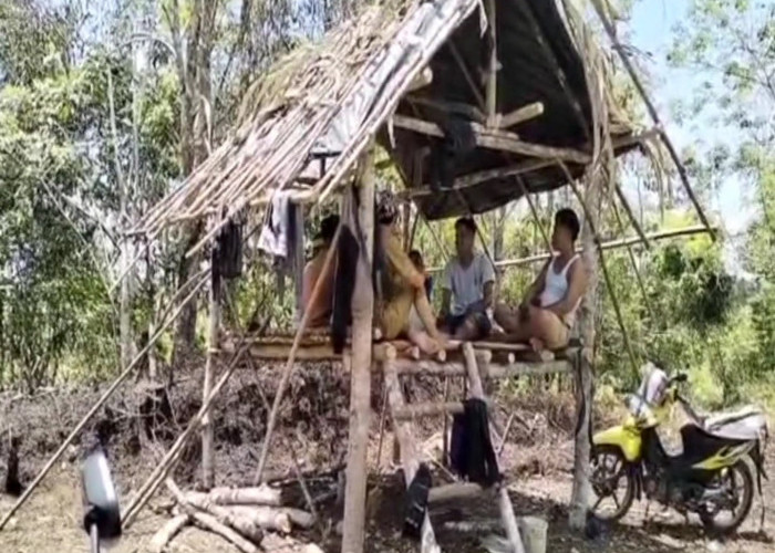 Warga Garap Lahan PTPN VII, Tantawi Minta PTPN Serahkan Sebagian Lahan 