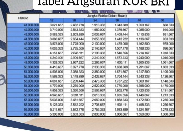 Simak, Angsuran Pinjaman Rp 85 Juta KUR BRI 2024 Cicilannya Rp 1 Jutaan, Tempo 5 Tahun 