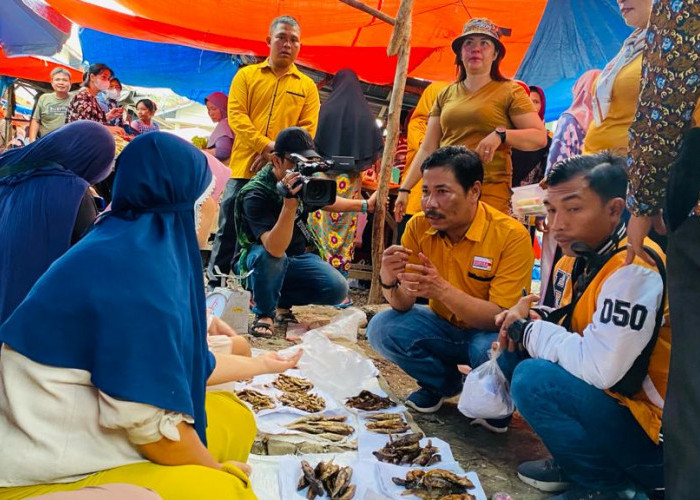 Cek Harga dan Serap Aspirasi, Ketua DPD Hanura Bengkulu Blusukan ke Pasar