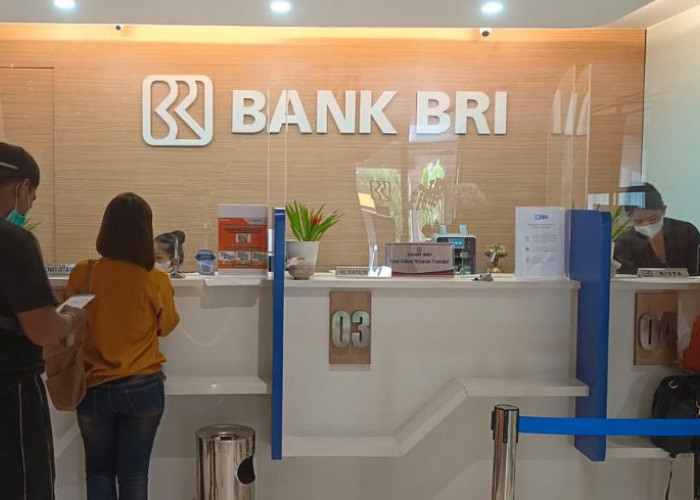Jangan Bayangkan Mahal, Angsuran Pinjaman KUR BRI Rp 100 Juta Sangat Terjangkau, Cek di Sini