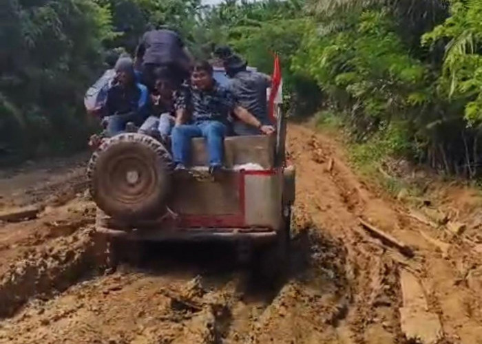 Ekstrem, Jalan Menuju Desa Tanjung Aur Maje Semakin Sulit di Akses