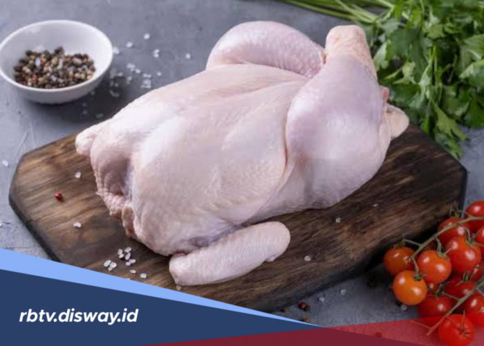 Jangan Asal Beli, Kenali Ciri-ciri Daging Ayam Berformalin