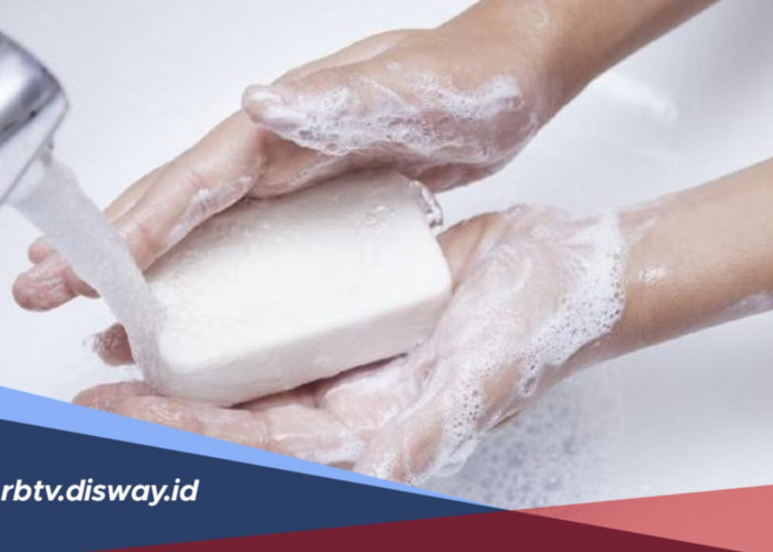 Tips Menyimpan Sabun Mandi Batangan agar Tahan Lama dan Tetap Wangi, Yuk Coba!