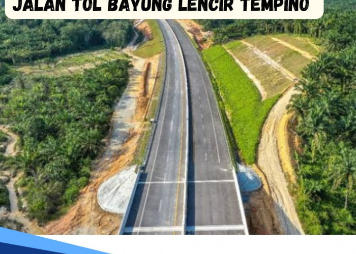 Dengan Panjang 169,9 Km, Begini Progres Pembangunan Jalan Tol Bayung Lencir-Tempino Seksi 2
