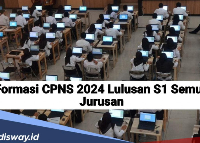 Daftar 21 Formasi CPNS 2024 untuk Lulusan S1, Ini Syarat Pendaftaran!