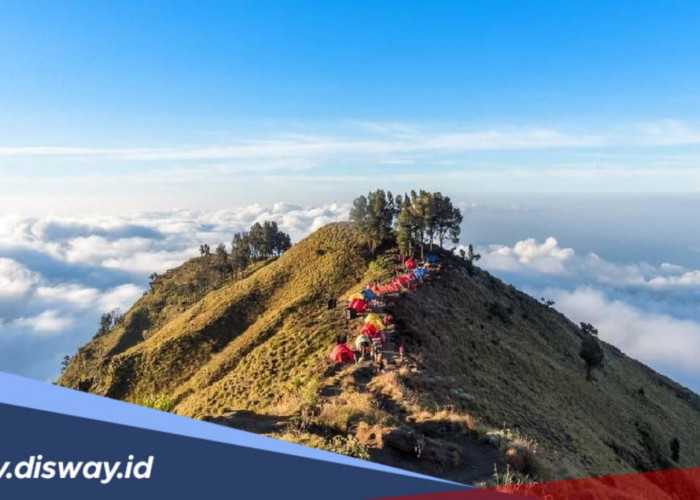 Daftar Gunung Berapi Aktif di NTT dan NTB, Cek Status Terkini
