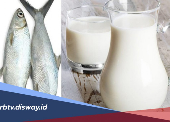 Pernah Minum Susu Ikan? Bagaimana Cara Produksi dan Apa Manfaatnya?