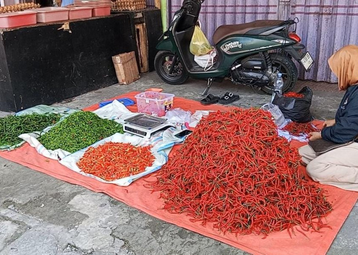 Di Rejang Lebong, Harga Cabe Merah Turun sedangkan Cabe Hijau Naik