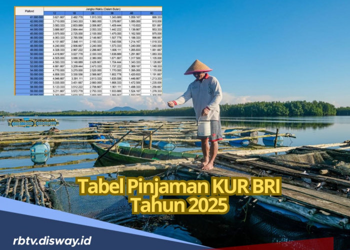 Tabel Pinjaman KUR BRI 2025, Pinjaman Rp 350 Juta, Angsuran Paling Kecilnya Segini   