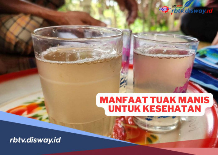 7 Manfaat Tuak Manis bagi Kesehatan yang Jarang Diketahui, Begini Cara Pembuatannya