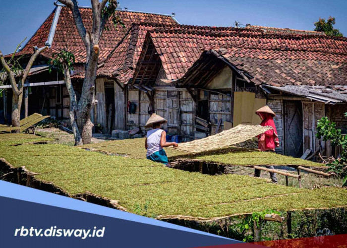Modal Usaha UMKM Rp 70 Juta Cair, Ini Simulasi Angsuran KUR BRI Juni 2026