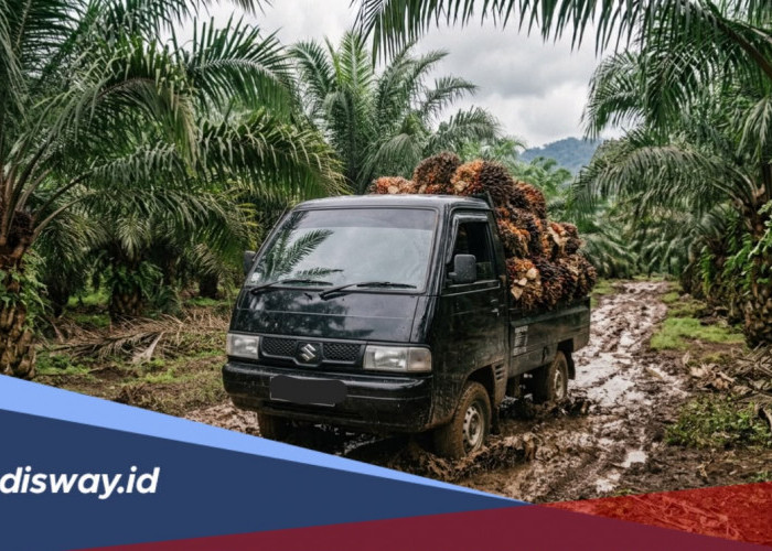 Rekomendasi Ban Mobil Pick Up yang Cocok untuk Jalan Lumpur dan Perkebunan Sawit