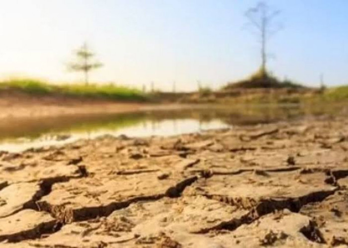 La Nina Belum Masuk ke Indonesia, BMKG Beri Peringatan Siaga I Petaka Kekeringan di Beberapa Daerah