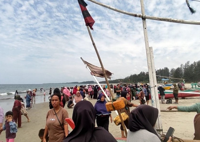 Modal Kantong Asoy, Emak-Emak Berburu Ikan Segar Gratis di Pantai Pasar Bengkulu