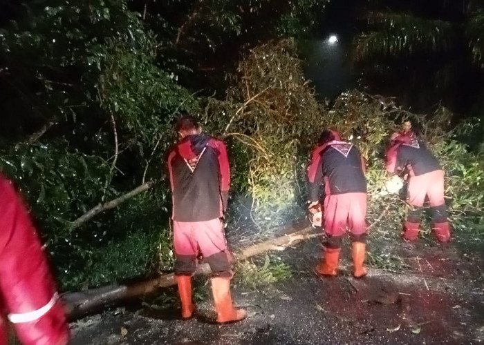 Dampak Cuaca Ekstrem di Bengkulu, PLN Klaim Alami Kerugian Ratusan Juta 