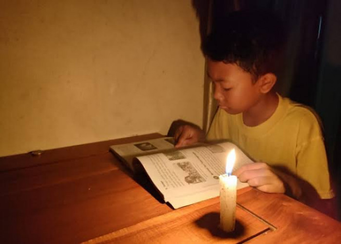 Dugaan Penyebab Mati Lampu Serentak di Sumatera, Begini Cara Melaporkan Gangguan Listrik Lewat PLN Mobile