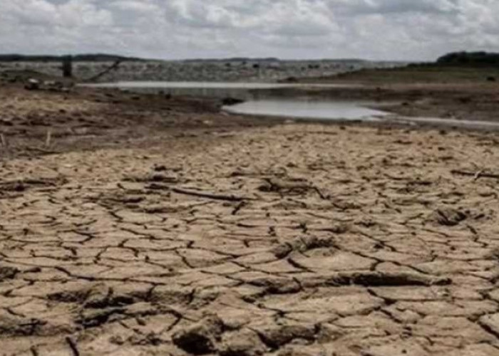 MENGEJUTKAN, PBB Warning Ancaman El Nino, Mei-Juni 2023 Ini Sumbagsel dan 10 Daerah Kemarau