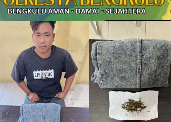 Ungkap Kasus Narkoba, Residivis Kasus Pidum Kembali Dibekuk Polisi