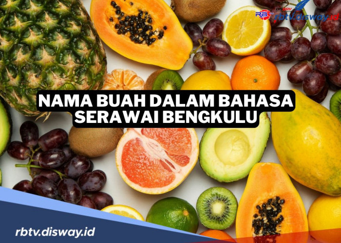 Awas Salah Ucap, Ini 8 Nama Buah Dalam Bahasa Suku Serawai di Bengkulu