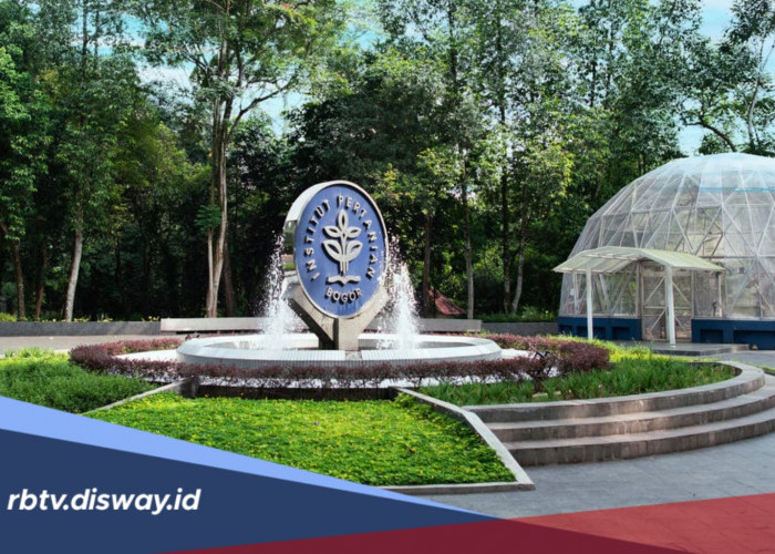 Lowongan Kerja 50 Dosen dan 67 Tenaga Kependidikan Kontrak IPB University 2026, Ini Syaratnya