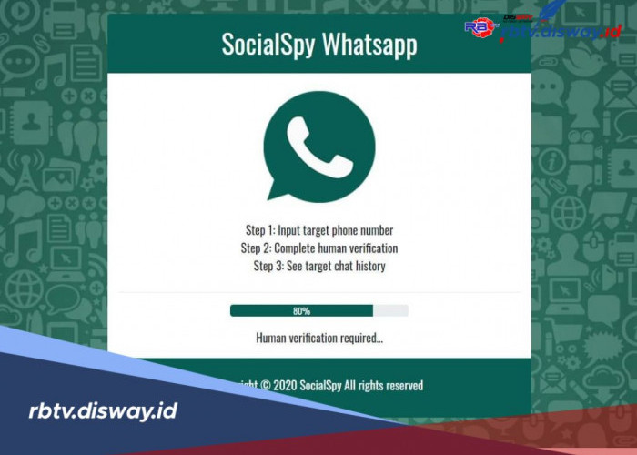 Ini Fakta Social Spy WhatsApp yang Perlu Diketahui, Jangan Asal Pakai