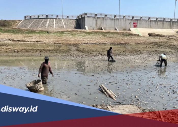 Untung Rugi Keringnya  Sungai Silugonggo atau Sungai Juwana di Pati