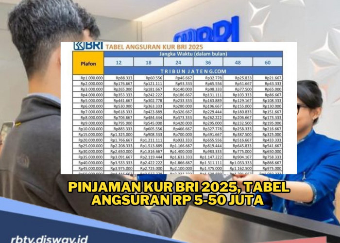 Pinjaman KUR BRI 2025, Ini Tabel Angsuran Rp5-50 Juta, Cicilan Ringan