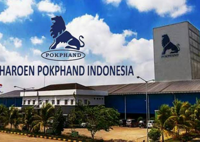 Info Loker di Jawa Tengah, Ada 8 Posisi Lowongan Kerja untuk Dokter Hewan di PT Charoen Pokphand Indonesia Tbk