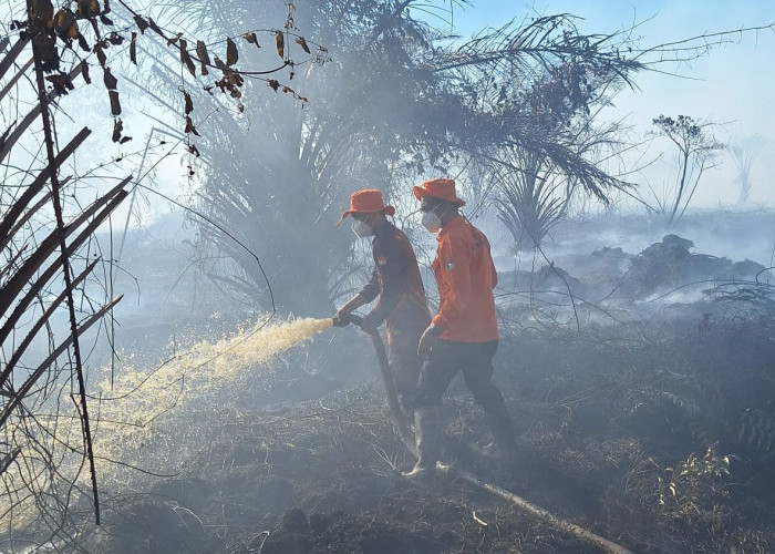 Kebakaran Lahan Gambut di Mukomuko Belum Selesai, Ini yang Dilakukan Tim Gabungan