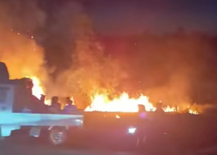 Diduga Akibat Puntung Rokok, Lahan Kering Dekat Dinas Perikanan Seluma Terbakar