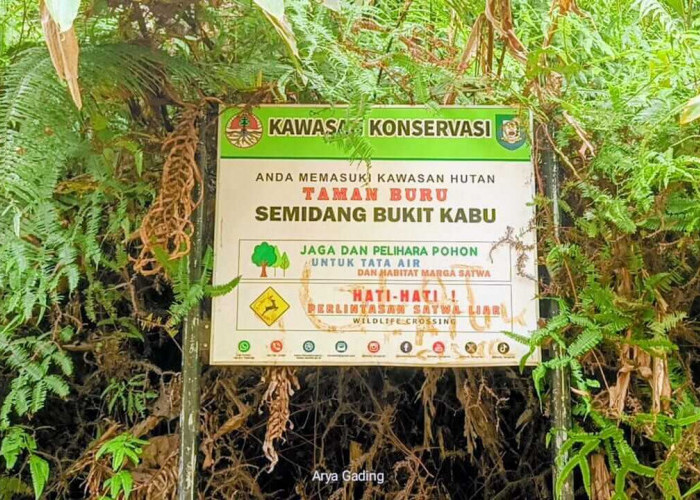 Pemkab Seluma Usulkan  Status Enclave ke Kementerian Lingkungan Hidup dan Kehutanan